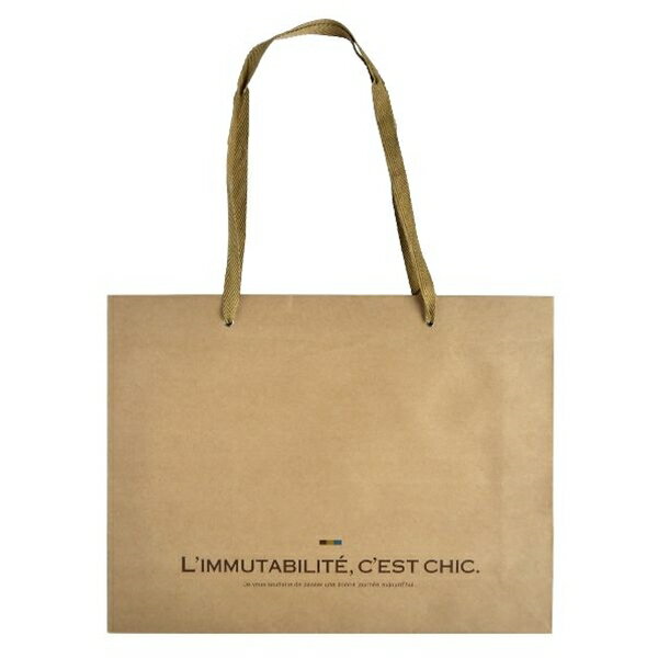 紙袋 横長LL(縦32×横42×マチ10cm) クラフト (100円ショップ 100円均一 100均一 100均)