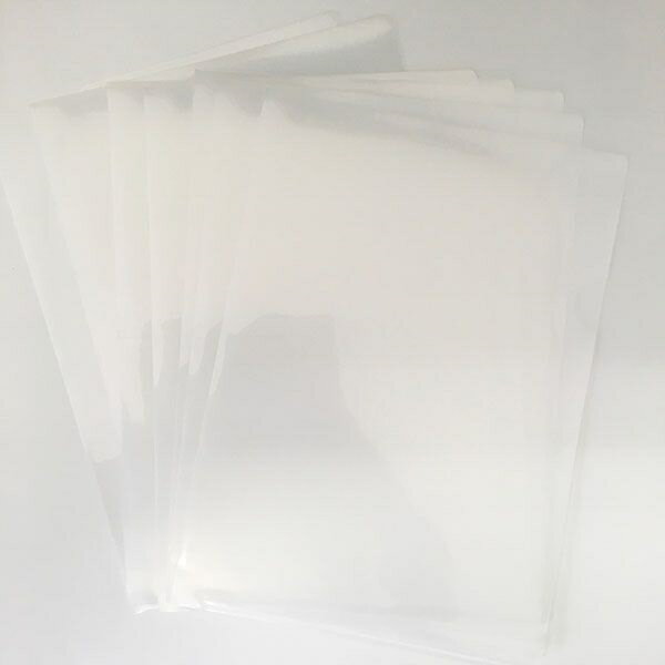 クリアファイル B5サイズ用 10枚入 (100円ショップ 100円均一 100均一 100均)