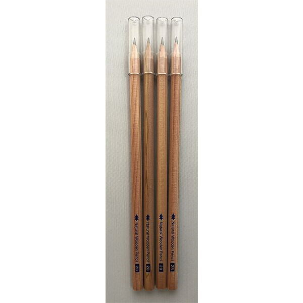 鉛筆 2B キャップ付 4本入 (100円ショップ 100円均一 100均一 100均)