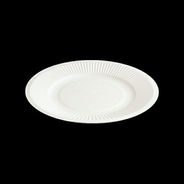 紙皿 直径15cm 26枚入通販格安セール情報 楽天 通販