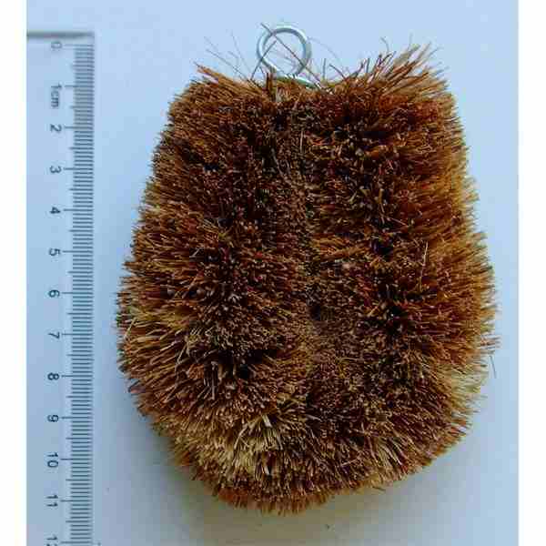 トラタワシ 調理器・木製品用 (100円ショップ 100円均一 100均一 100均)