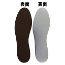 アルミ＆低反発インソール 女性用 抗菌 22〜26cm (100円ショップ 100円均一 100均一 100均)