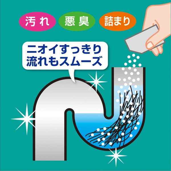 髪の毛分解洗浄剤 20g 2包入 髪の毛スルー (100円ショップ 100円均一 100均一 100均)