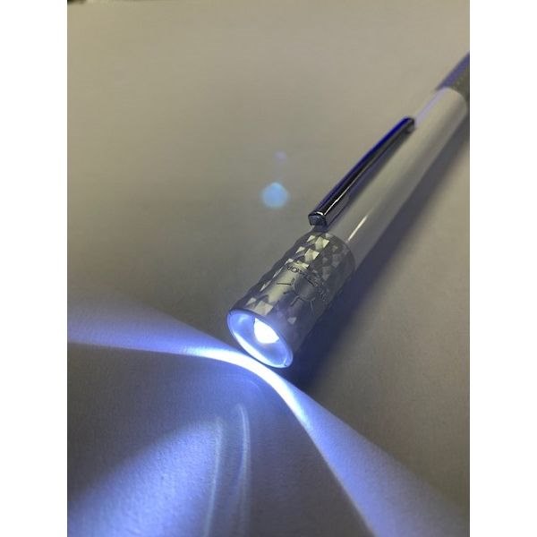 多機能ペン LEDライト＋0．7mm黒ボールペン (100円ショップ 100円均一 100均一 100均)