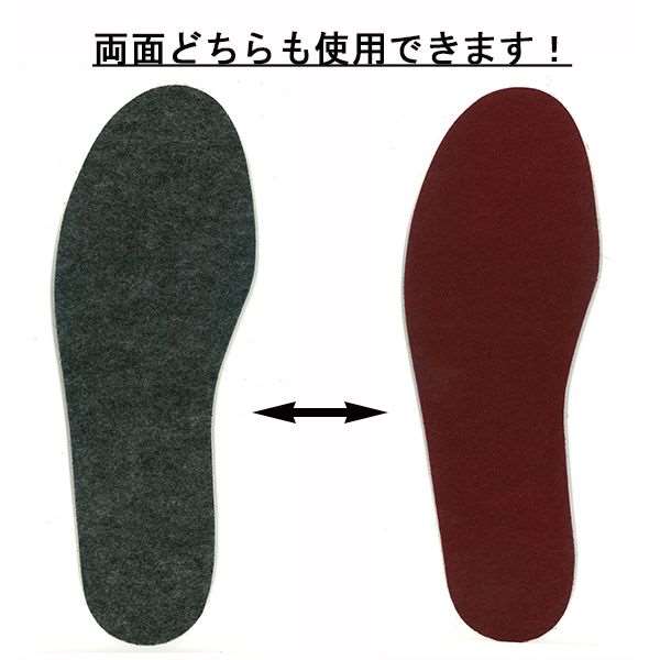 インソール 唐辛子入 男女兼用フリーサイズ（22〜28cm） (100円ショップ 100円均一 100均一 100均)
