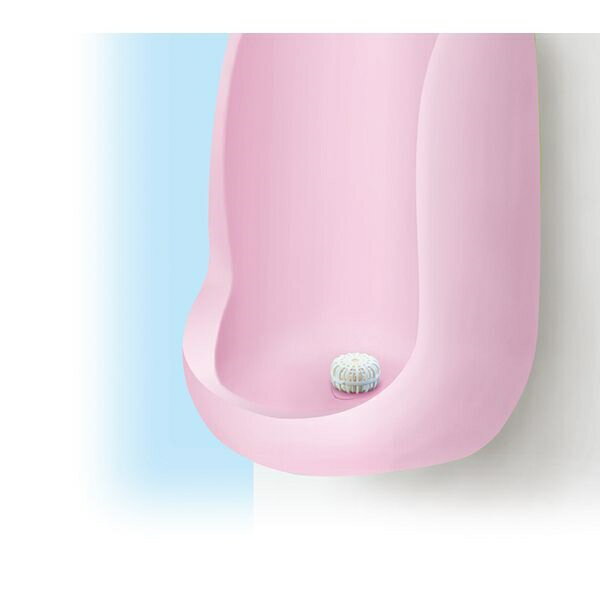 尿石除去剤 尿石とるぞ〜 強力塩素系 15g (100円ショップ 100円均一 100均一 100均)