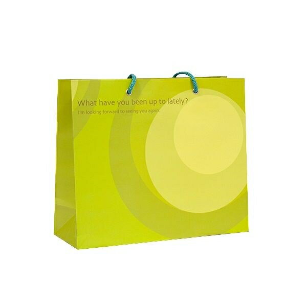 ペーパーバッグ 手提げ 横型 モダン Lサイズ（26×31×マチ11cm） ［色指定不可］ (100円ショップ 100円均一 100均一 100均)