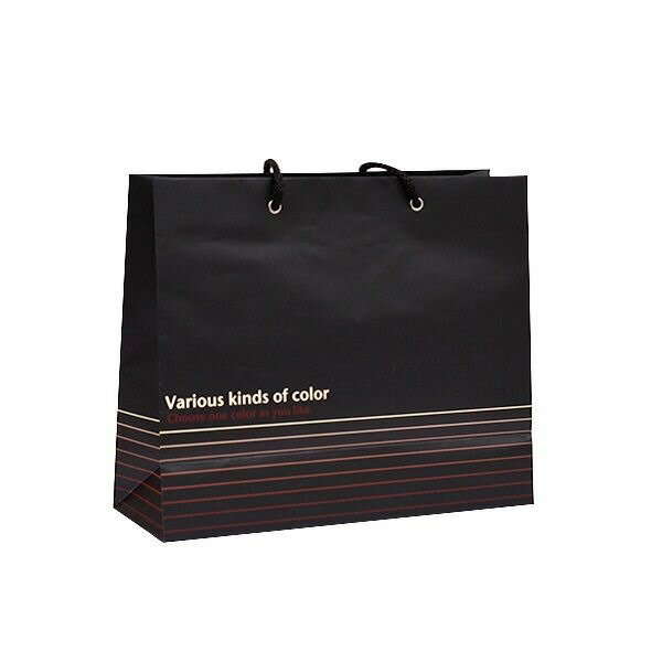ペーパーバッグ 手提げ 横型 モダン Lサイズ（26×31×マチ11cm） ［色指定不可］ (100円ショップ 100円均一 100均一 100均)