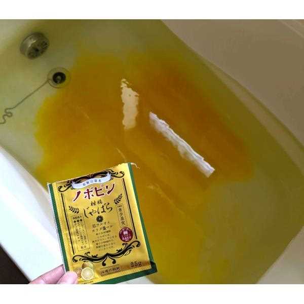 入浴剤 ノボピン じゃばら 25g (100円ショップ 100円均一 100均一 100均)