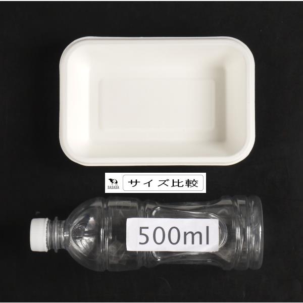 ペーパープレート リードエコ 長方形 深型 さとうきび繊維使用 18×12×高さ3.5cm 7枚入 (100円ショップ 100円均一 100均一 100均)