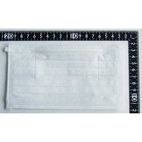 加湿マスク 潤いフィルター付 普通サイズ(17.5×9.5cm) 2枚入 (100円ショップ 100円均一 100均一 100均)