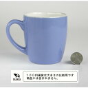 マグカップ B型 ブルー 290ml ［色指定不可］ (100円ショップ 100円均一 100均一 100均)