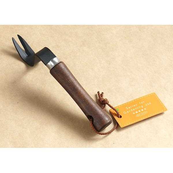 ��ȴ�� ���� �ߥǥ������� 19cm (100�ߥ���å� 100�߶Ѱ� 100�Ѱ� 100��)