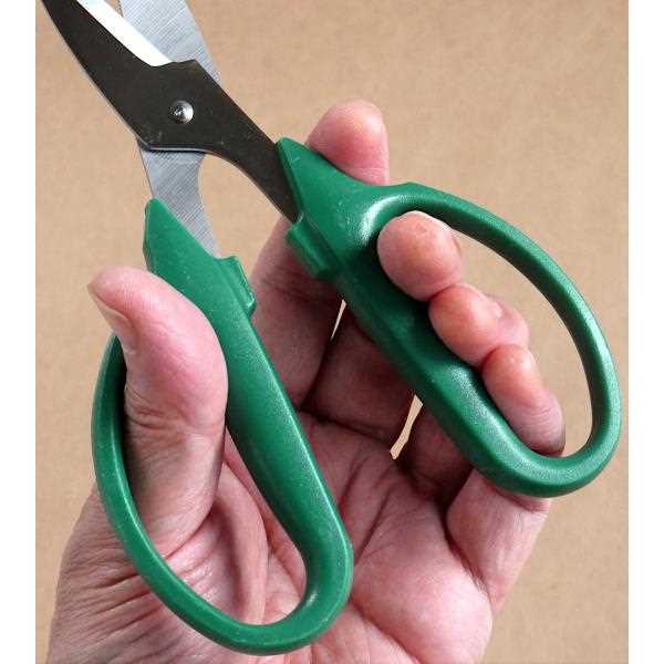 枝切りばさみ ステンレス製 直 16.6cm (100円ショップ 100円均一 100均一 100均)