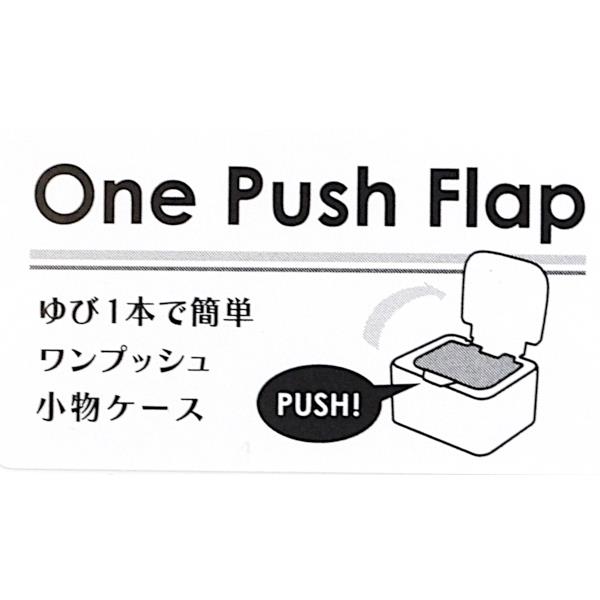 ワンプッシュ小物ケース 9.6×10.3×高さ5.3cm (100円ショップ 100円均一 100均一 100均)