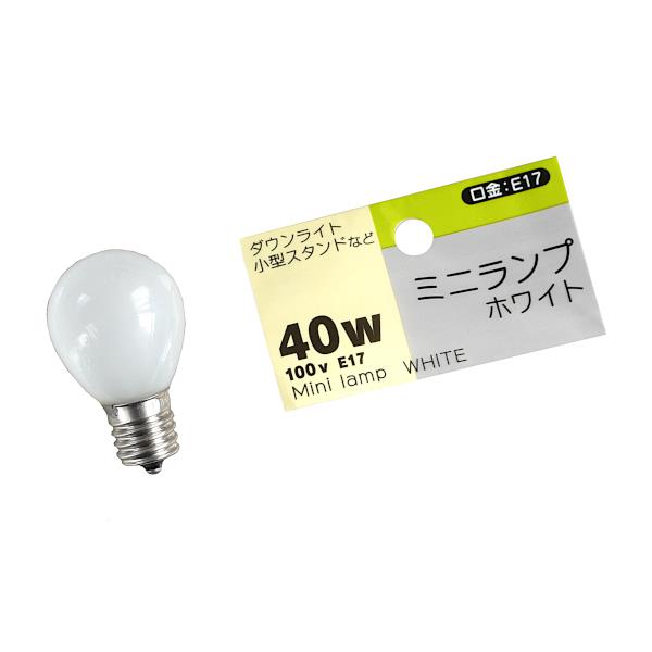 白熱電球 ミニランプ球 ホワイト 100