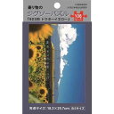 ジグソーパズル 乗り物 ｢923形 ドクターイエロー｣ B5サイズ 108ピース (100円ショップ 100円均一 100均一 100均)