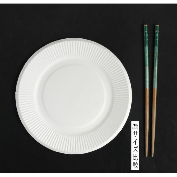 紙皿 ホワイト 直径20cm 12枚入 (100円ショップ 100円均一 100均一 100均)