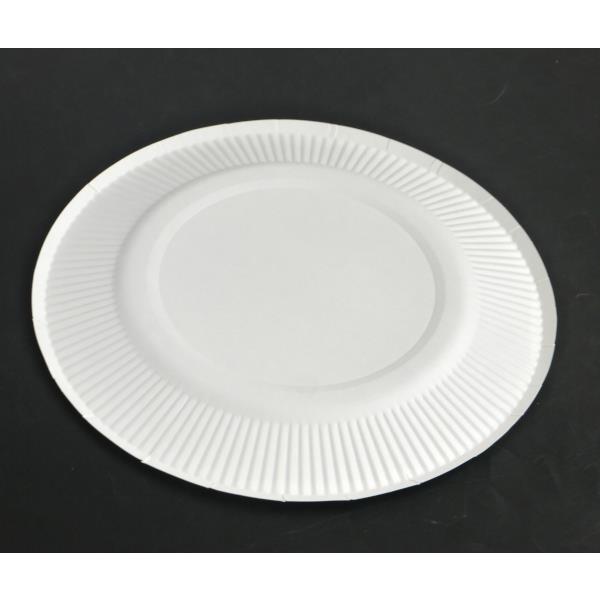 紙皿 ホワイト 直径20cm 12枚入 (100円ショップ 100円均一 100均一 100均)