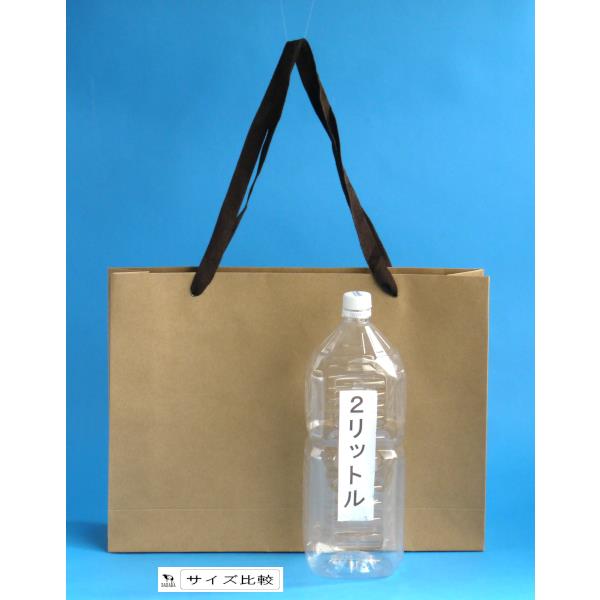 デイリークラフトバッグ 横型 Lサイズ(31×42×マチ9.5cm) (100円ショップ 100円均一 100均一 100均)