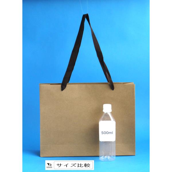 デイリークラフトバッグ 横型 Mサイズ(27.5×36.5×マチ9cm) (100円ショップ 100円均一 100均一 100均)