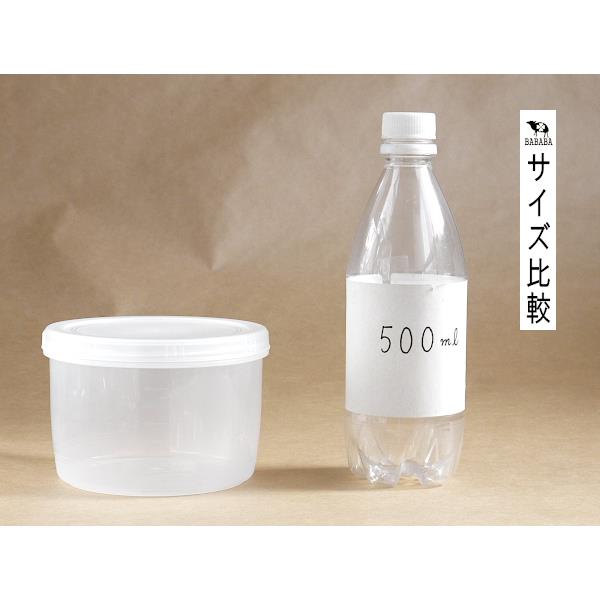 保存容器 compo6 ショート クリア Lサイズ(容量850ml) (100円ショップ 100円均一 100均一 100均)