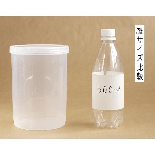 保存容器 compo6 ロング クリア Lサイズ(容量1800ml) (100円ショップ 100円均一 100均一 100均)