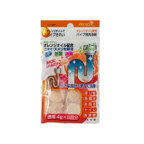 オレンジオイルでパイプきれい/C1381 (100円ショップ 100円均一 100均一 100均)