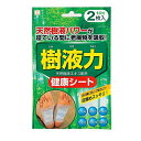 足裏シート 樹液力（健康シート） 2枚入 (100円ショップ 100円均一 100均一 100均)