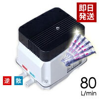 【塩素剤付き】【取り付け部品付き】【会員カード付き】安永エアポンプ EP-80G-R(右) (EP-80HN2T・EP80E-R(右)の後継機種) / 合併 浄化槽 ブロワー,エアーポンプ ポンプ 馬場福楽天店