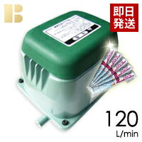 【塩素剤付き】【取り付け部品付き】【会員カード付き】浄化槽ポンプテクノ高槻HP-120/合併浄化槽エア..