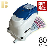 【塩素剤付き】【取り付け部品付き】【会員カード付き】浄化槽ポンプテクノ高槻XP-80(塩素剤付き)/合併..