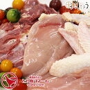 【生肉鶏肉】信州黄金シャモ一羽セット（オス）【生肉鶏肉】産地直送地鶏