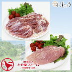 【期間中店内全品ポイント5倍】【生肉 鶏肉】 信州黄金シャモ もも肉・むね肉（オス） 産地直送 地鶏 ネプリーグ トロッコアドベンチャー TVで紹介されました 視聴者プレゼント ギフト 贈答 産地直送