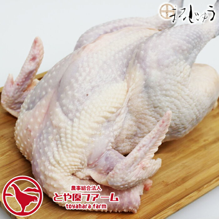 【送料無料】【生肉 鶏肉】 信州黄金シャモ 丸鳥 （オス） 産地直送 地鶏 ネプリーグ トロッコアドベン..