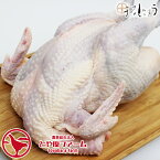 【期間中店内全品ポイント5倍】【送料無料】【生肉 鶏肉】 信州黄金シャモ 丸鳥 （オス） 産地直送 地鶏 ネプリーグ トロッコアドベンチャー TVで紹介されました 視聴者プレゼント