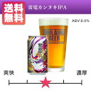 オラホビール 雷電カンヌキIPA 350ml缶×24本入 送料無料 長野県地ビール