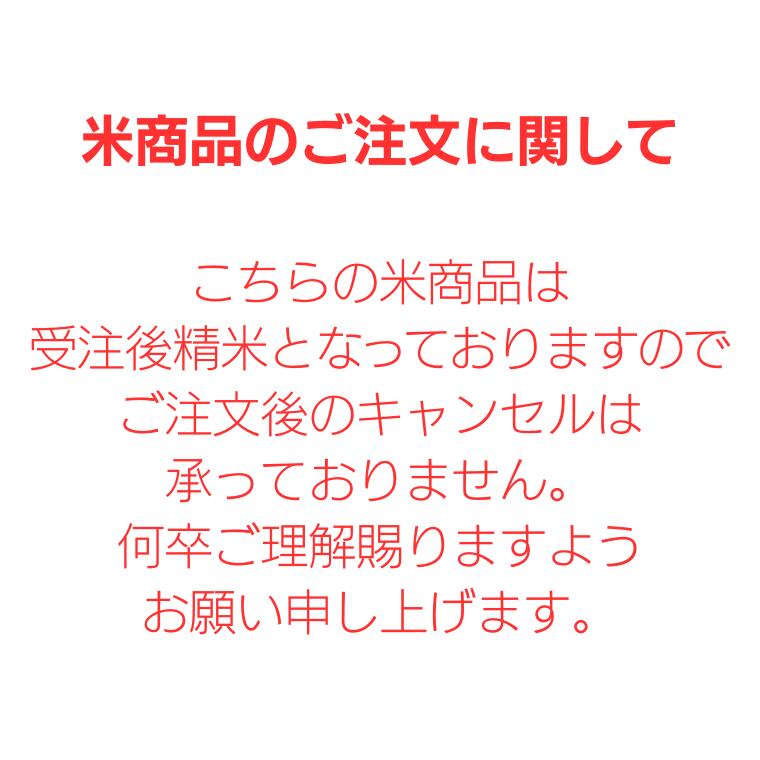 サンプル画像2
