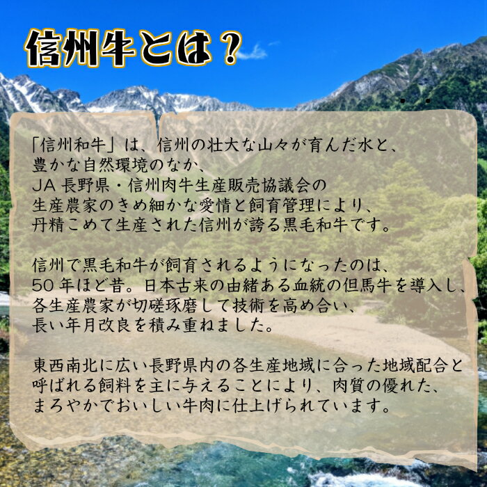 信州牛肉みそご飯のお供 信州牛 信州味噌 おつまみ 牛そぼろ 観光土産 信州土産