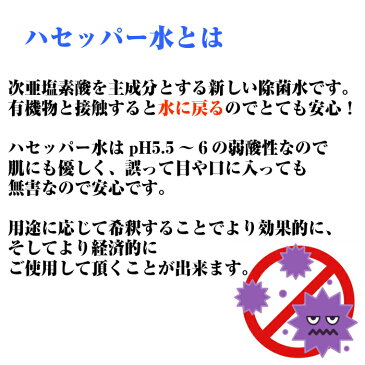 次亜塩素酸水ハセッパー水500ml 除菌 殺菌 ウイルス対策 空間除菌 除菌水 弱酸性 肌にやさしい 【5/7以降出荷】