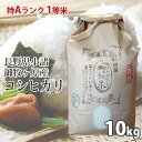 長野県産コシヒカリ 小諸産 10キロ2023新米 こめ おこめ 長野米 コシヒカリ 小諸御牧ケ原産ブランド米 1等米 特Aランク地区 米10kg 送料無料