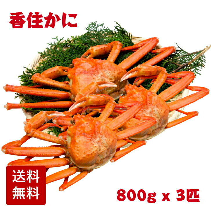 【産地直送 送料無料】茹で姿 香住かに（紅ズワイガニ）特大サイズ 2.4kg (800g前後×3匹) メガ盛り 茹..