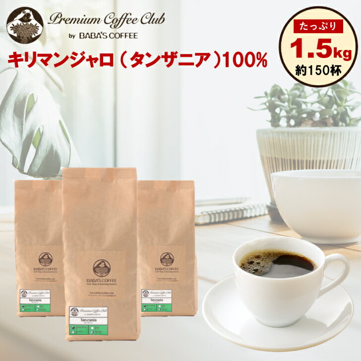 キリマンジャロ（タンザニア AA）100% レギュラーコーヒー 1.5kg (500gx3) 約150杯　コーヒー豆 焙煎豆 業務用 売切御免　焙煎工場直送 送料無料