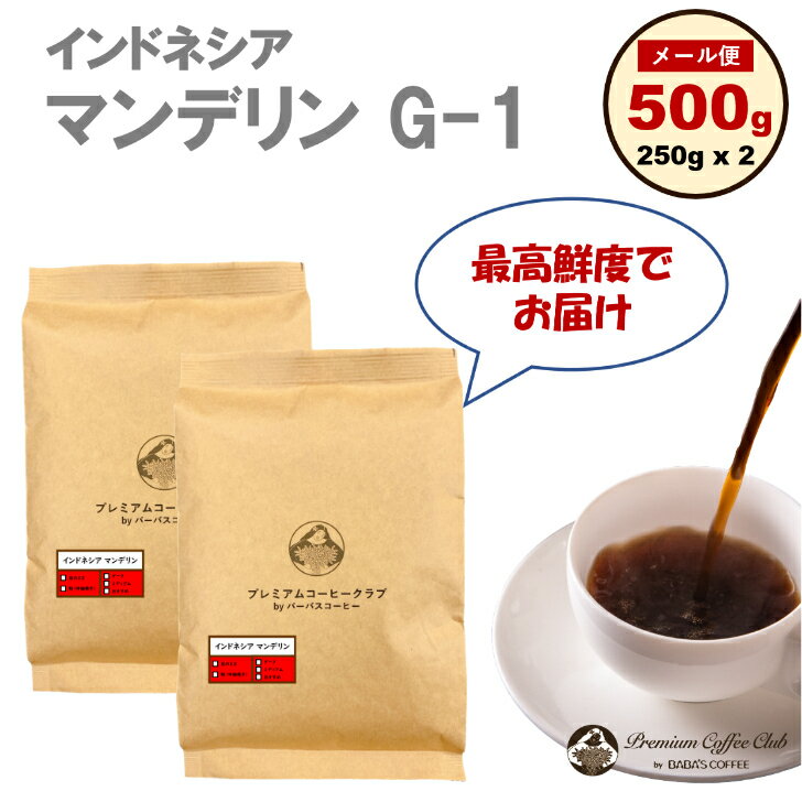 インドネシアマンデリン G-1 500g (250g x 2) 最高鮮度 出来立て完全受注焙煎 工場直送 メール便 送料無料 お試し 買い回り ポイント消化