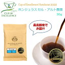 【カップオブエクセレンス 数量限定】Cup of Excellence 2022年 ホンジュラス セロ・アルト農園 30g COE カップオブエクセレンス 焙煎したて 焼きたて 最高鮮度 送料無料 お試し 工場直送 coe