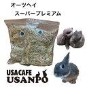 オーツヘイ スーパープレミアム (オーストラリア産) 500g プレゼント付