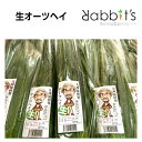 ラビッツ 生オーツヘイ 【人気商品】無農薬栽培 無農薬 期間限定