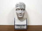 フレノロジーヘッド 頭の置物 オブジェ THE PHRENOLOGY HEAD アンティーク 骨相学 おしゃれ かっこいい 大人 インテリア ディスプレイ クラシック アジアン 輸入雑貨