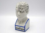 フレノロジーヘッド M 頭の置物 オブジェ THE PHRENOLOGY HEAD アンティーク 骨相学 おしゃれ かっこいい 大人 インテリア ディスプレイ クラシック アジアン 輸入雑貨