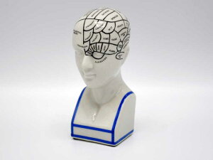 フレノロジーヘッド S 頭の置物 オブジェ THE PHRENOLOGY HEAD アンティーク 骨相学 おしゃれ かっこいい 大人 インテリア ディスプレイ クラシック アジアン 輸入雑貨